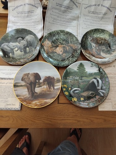 Five plate bundle - five, three