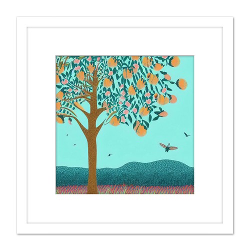 Apricot tree hillside - apricot,