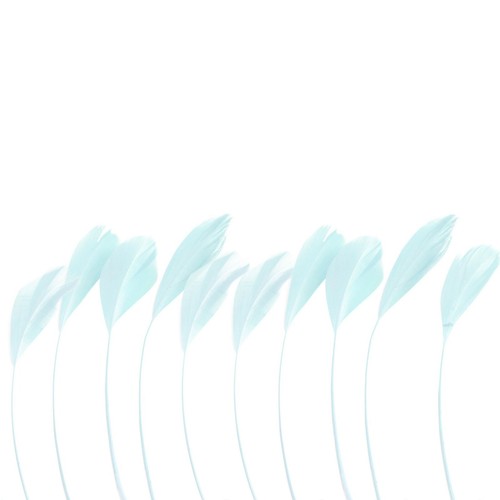 Stripped coque diamond - stripped,