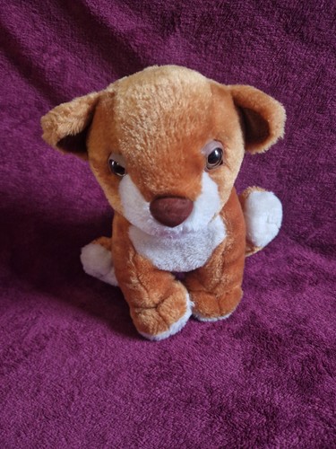 Medium sized lion cub - medium,