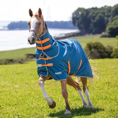 Shires tempest original - shires, 0g