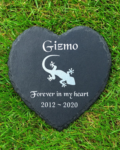 Personalised lizard pet - personalised,
