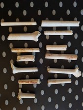 13 VICTORIAN CLAY PIPE