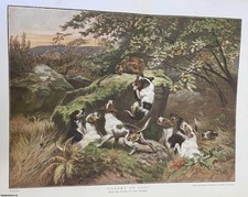 FOX-HUNTING SCENE. CAUGHT AT LAST. FROM THE PICTURE BY JULES GELIBERT. AN ORIGIN