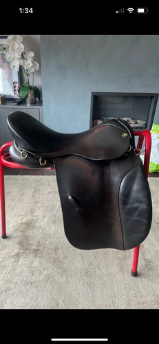 Hunter leather english horse - hunter,