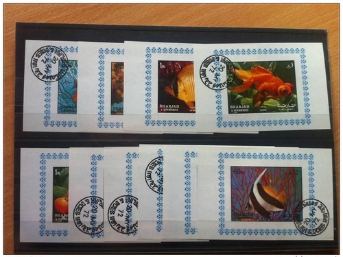 Sharjah series blocks fish - sharjah,