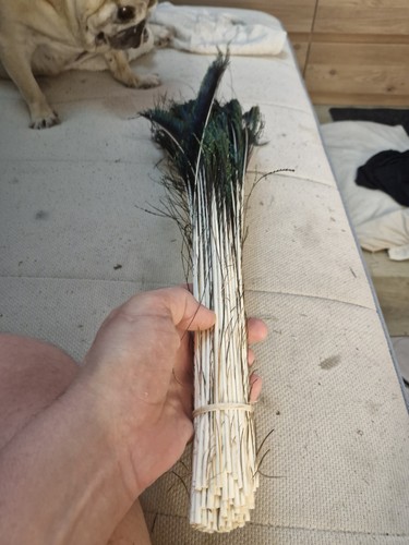 Over 40g massive bundle - bundle, of