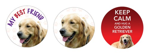 Golden retriever dog vinyl - 2, x