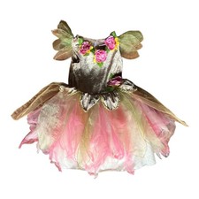 Fairy Dust Little Girls