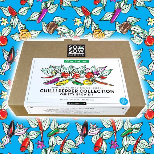 Chilli pepper grow kit - grow, kit: