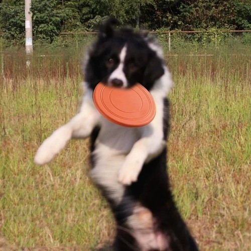Dog training soft thin - thin, frisbee