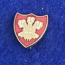 VINTAGE ICH DIEN PRINCE OF WALES FEATHERS Enamelled Brass Shield Pin Badge Welsh