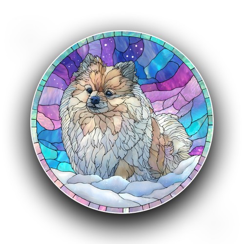 Pomeranian dog northern lights - pomeranian,