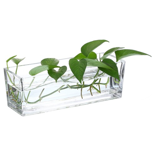 Rectangular glass vase - glass, 12x4x4