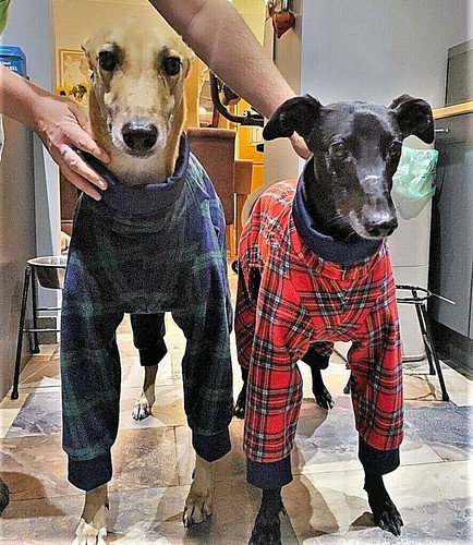 Tartan fleece dog pyjamas - fleece,