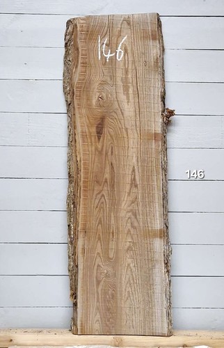 Elm live edge timber - live, x