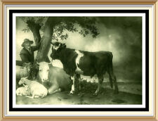 Original 1901 PAUL POTTER Antique 124yr Old Print - YOUNG BULL Farmer Cattle