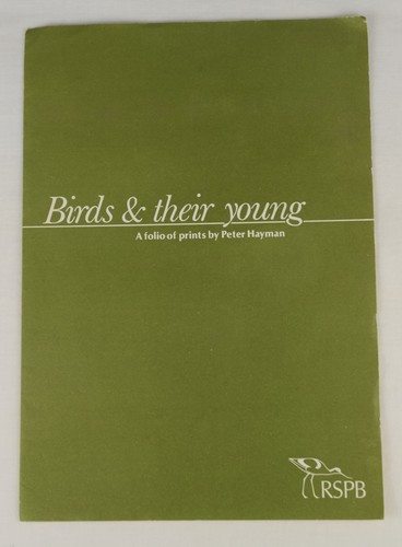 Birds and their young - a, folio