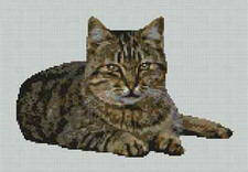 Tabby Cat Kitten Counted Cross