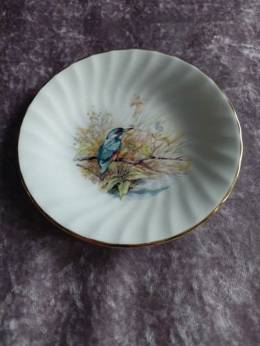 British bird plate - bird,