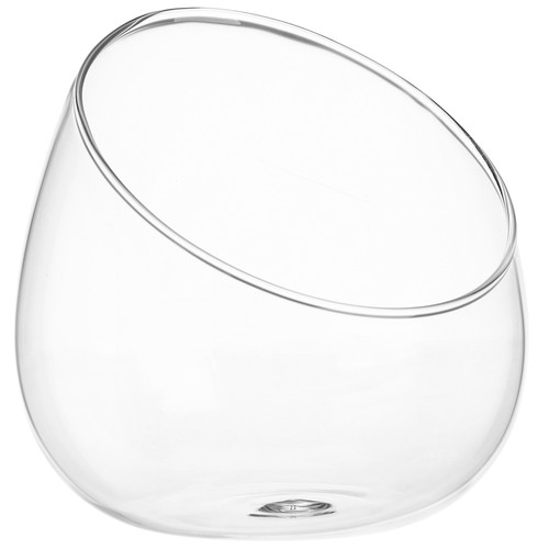Succulent glass terrarium - glass,