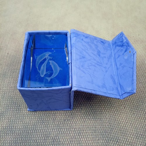 Glass hologram dolphin - glass,