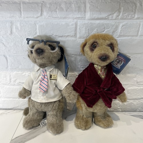 Compare the meerkat - meerkat, aleksandr