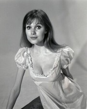 Madeline Smith Busty Negligee Pin Up Vampire Lovers Hammer Horror 8x10 Photo
