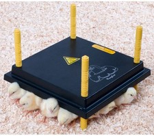 Comfort 25 Chick Brooder Heat