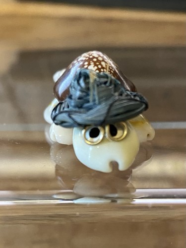 Vintage tortoise turtle in - *vintage, tortoise/turtle