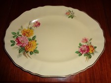 J & G Meakin SUNSHINE Serving