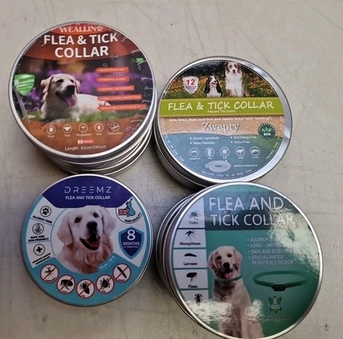 Dogs flea and - dogs, tick