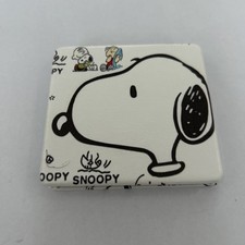 Snoopy Charlie Brown Mini