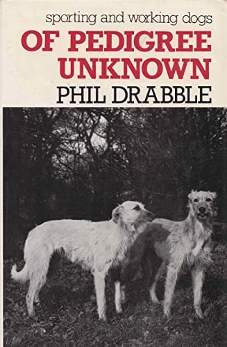 Pedigree unknown sporting - pedigree,