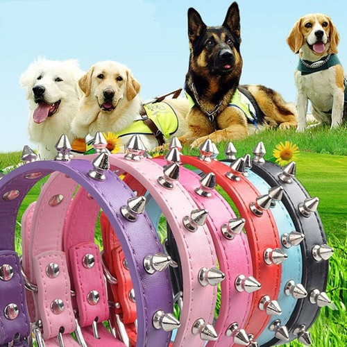 Cat dog collar - dog,