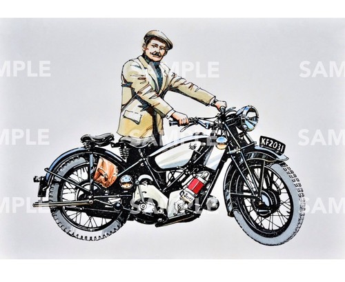 Scott flying squirrel - flying,