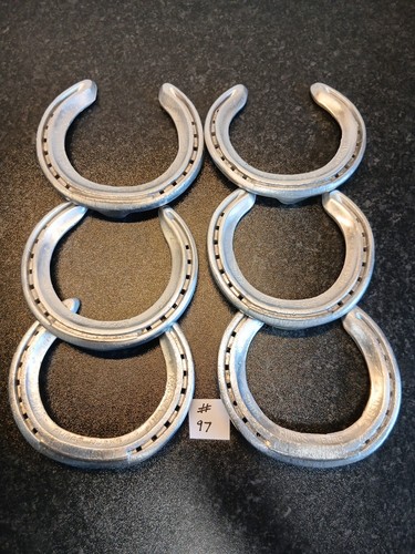Used aluminium racehorse - 6,