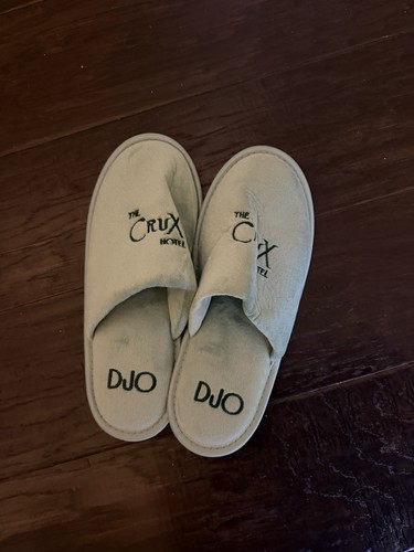 Djo tour 2025 vip merch - djo,