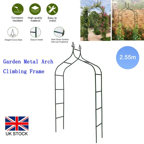 Metal garden arch rose - arch, plant