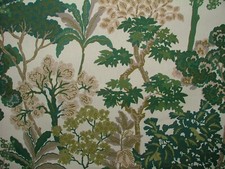 Avar Evergreen Japanese Cotton