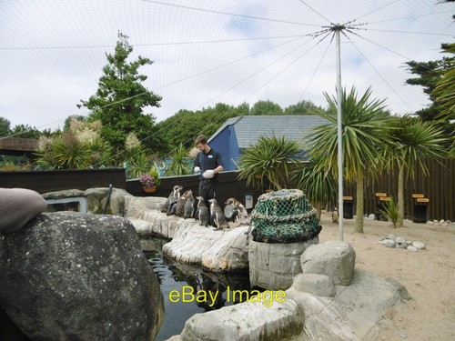Photo 6x4 weymouth - 6x4, sealife
