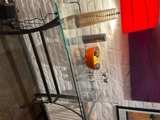 Glass and Metal Console Table Grey metal frame narrow glass top table