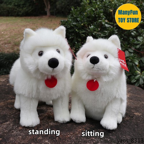 Realistic samoyed dog - realistic, high