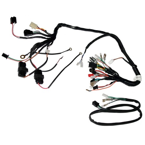 Main wiring harness for royal - harness,