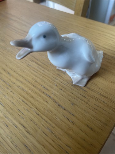 Nao goose - nao,