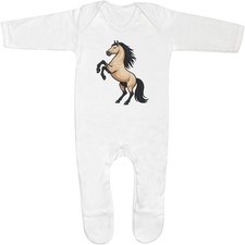 'Horse Standing on Hind Legs'