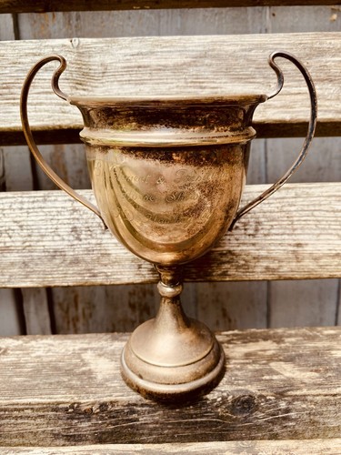 Silver trophy 1978 - 7”, |