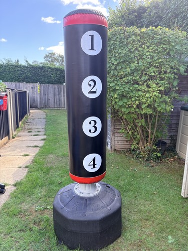 Free standing punch bag adult