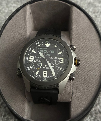 Citizen men promaster land - promaster,