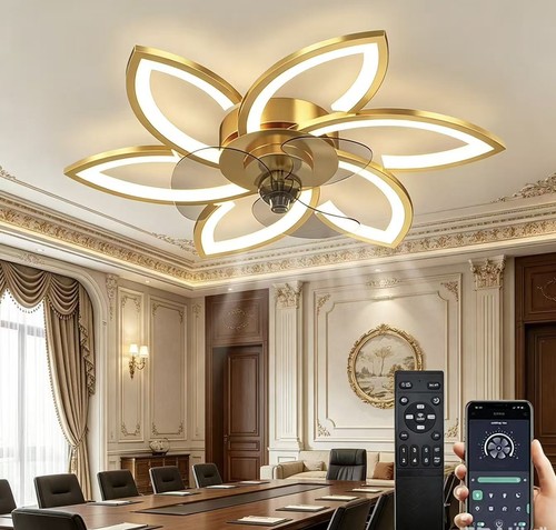 Indoor ceiling fan - indoor,